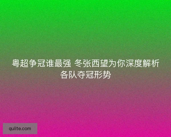 粤超争冠谁最强 冬张西望为你深度解析各队夺冠形势